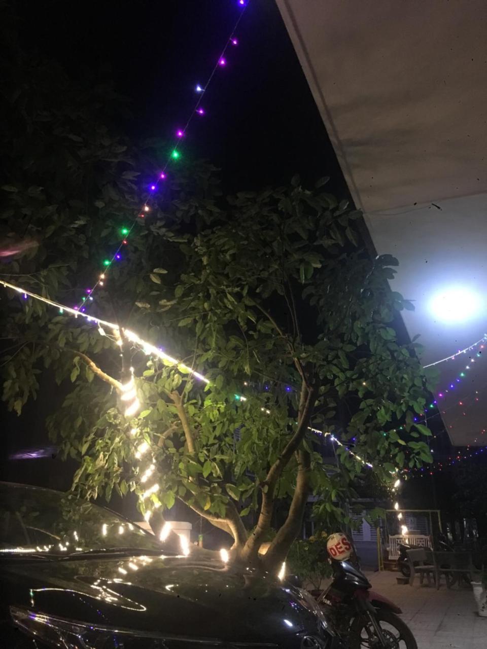 Hoang Minh 846 Hostel 头顿 外观 照片